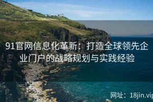 91官网信息化革新：打造全球领先企业门户的战略规划与实践经验