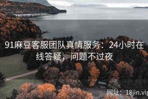 91麻豆客服团队真情服务：24小时在线答疑，问题不过夜