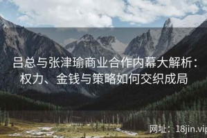 吕总与张津瑜商业合作内幕大解析：权力、金钱与策略如何交织成局