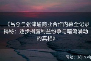 《吕总与张津瑜商业合作内幕全记录揭秘：逐步揭露利益纷争与暗流涌动的真相》