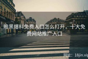 暗黑爆料免费入口怎么打开，十大免费网站推广入口