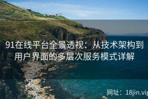 91在线平台全景透视：从技术架构到用户界面的多层次服务模式详解
