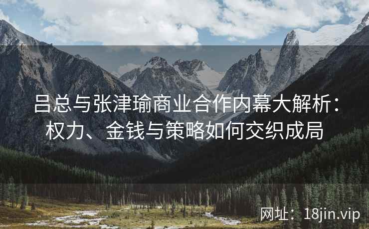 吕总与张津瑜商业合作内幕大解析：权力、金钱与策略如何交织成局