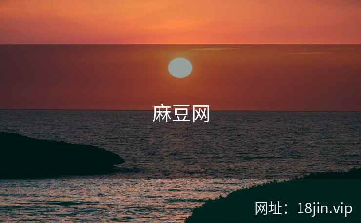 麻豆网