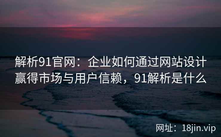 解析91官网：企业如何通过网站设计赢得市场与用户信赖，91解析是什么